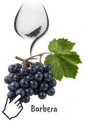 Rebe Pinot Noir mit Weinglas