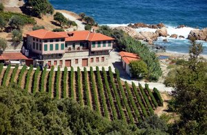 Weingut am Meer. Fotolia_45112627 © Juergen Effner