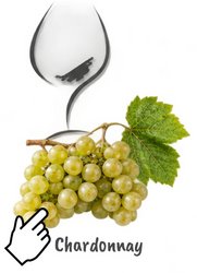 Chardonnay-Rebe mit Weinglas