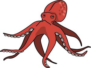 Oktopus-Illustration