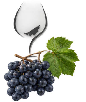 Barbera-Rebe. Gernekochen – Mit Wein genießen, Weinkompass
