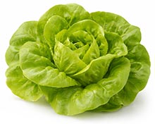 Blattsalat