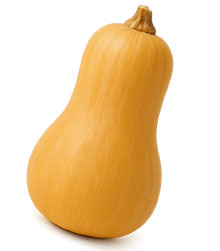 Butternut-Kürbis