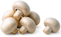 Champignons