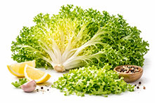 Endiviensalat