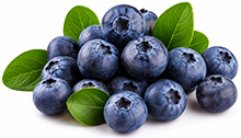 Heidelbeeren (Blaubeeren)
