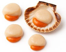 Jakobsmuscheln alias Tiefsee-Scallops Jakobsmuscheln alias Tiefsee-Scallops