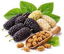 Maulbeeren