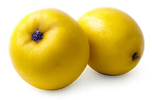 Quitten