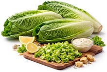 Römersalat