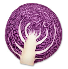 Rotkohl
