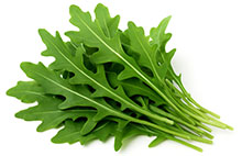 Rucola