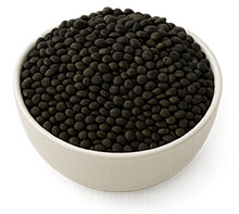 Schwarze Linsen – Lenticchie nere