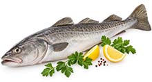 Schweinefleisch als Kasseler