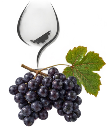 Syrah-Rebe. Gernekochen – Mit Wein genießen, Weinkompass