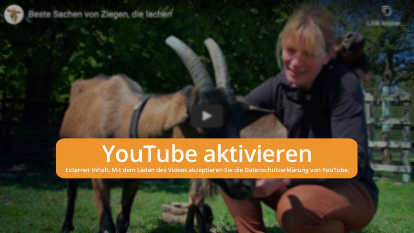 Cookie-Hinweis