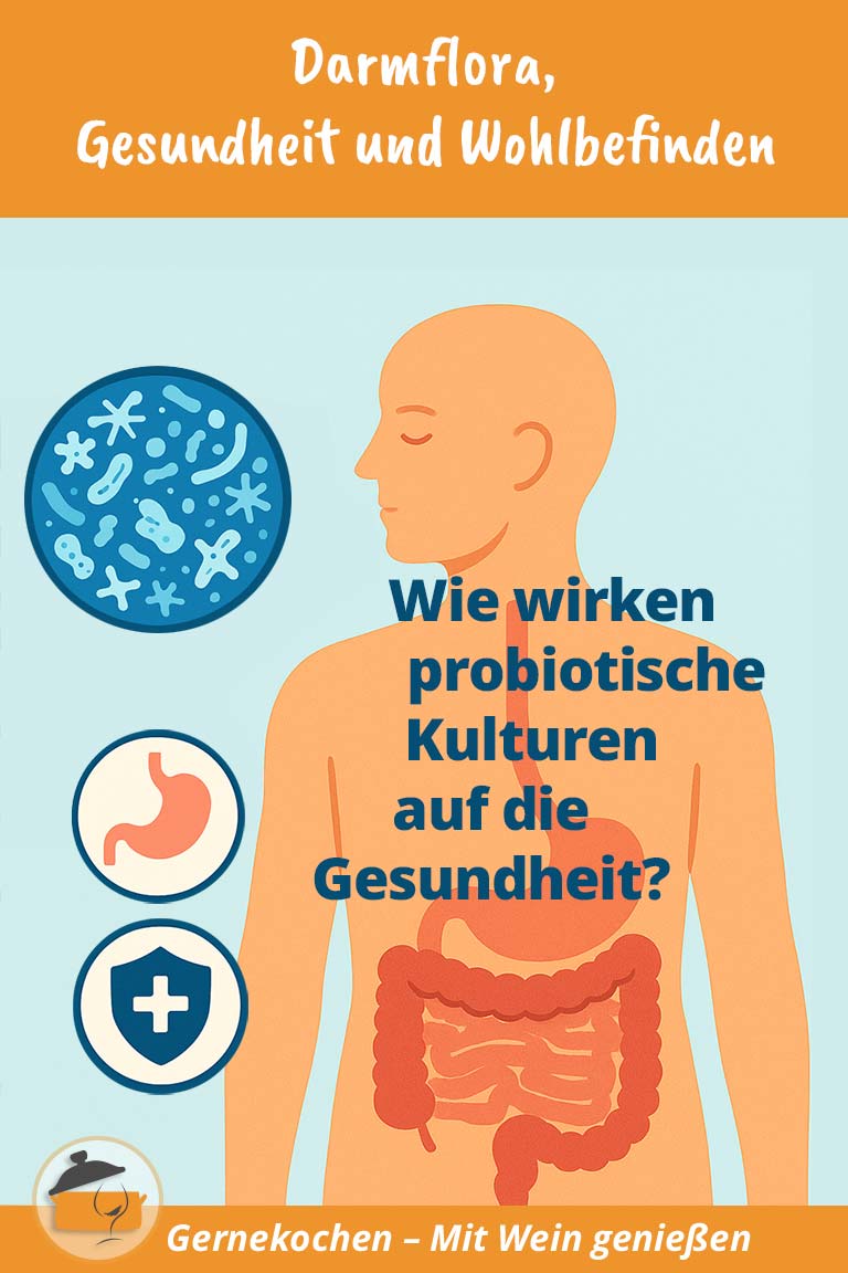 Darmflora, Gesundheit und Wohl­be­fin­den – wie wirken probiotische Kultu­ren auf die Ge­sund­heit?