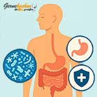 Darmflora, Gesundheit und Wohlbefinden