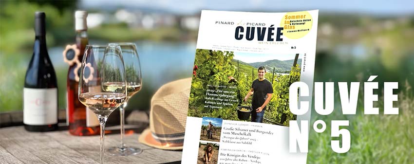 PINARD de PICARD – CUVEÉ Nº 005